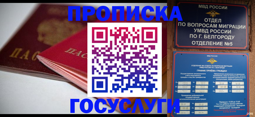 временная регистрация собственник в Благовещенске